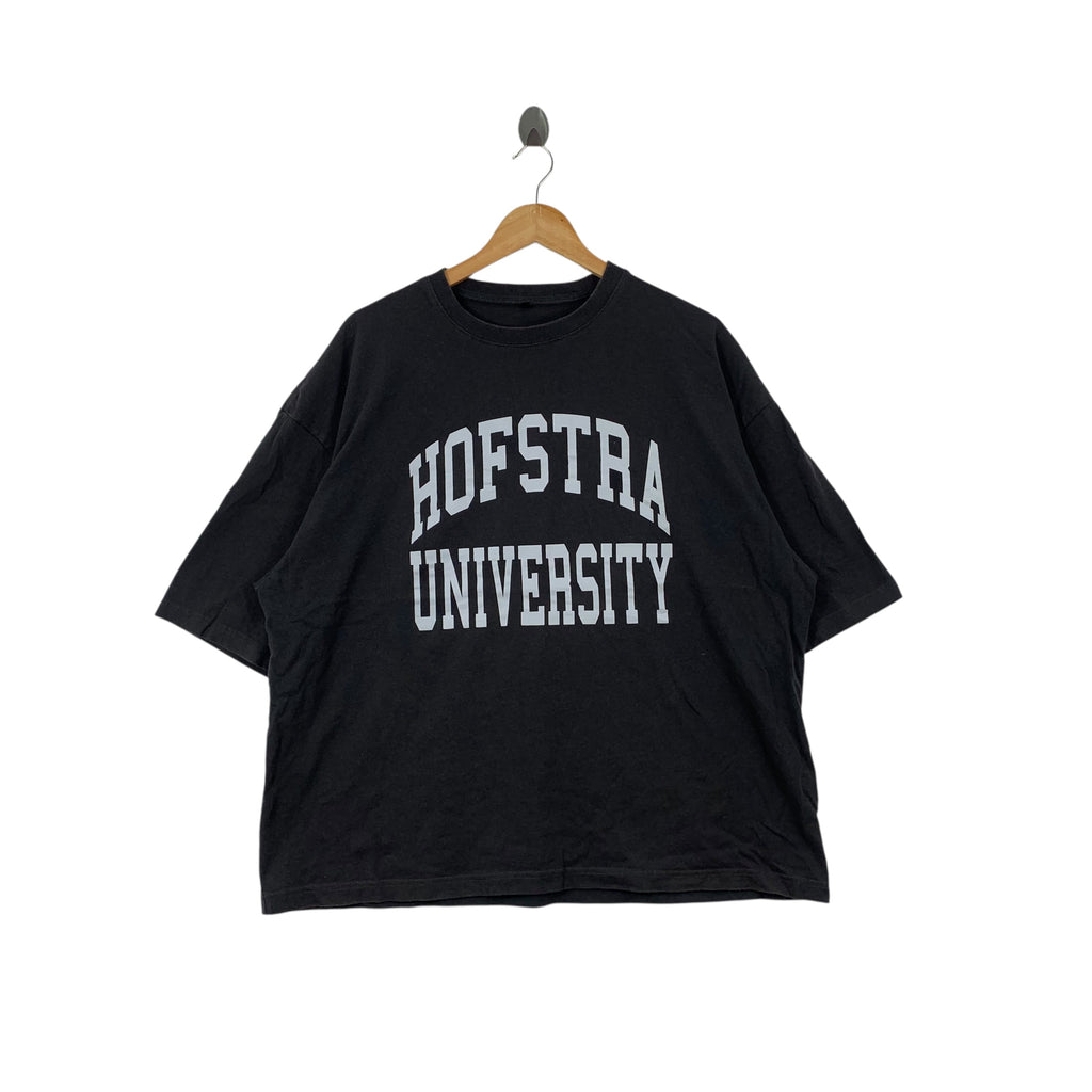 HOFSTRA UNIVERSITY New York Collegiate Baggy Boxy Tee Shirt Collection